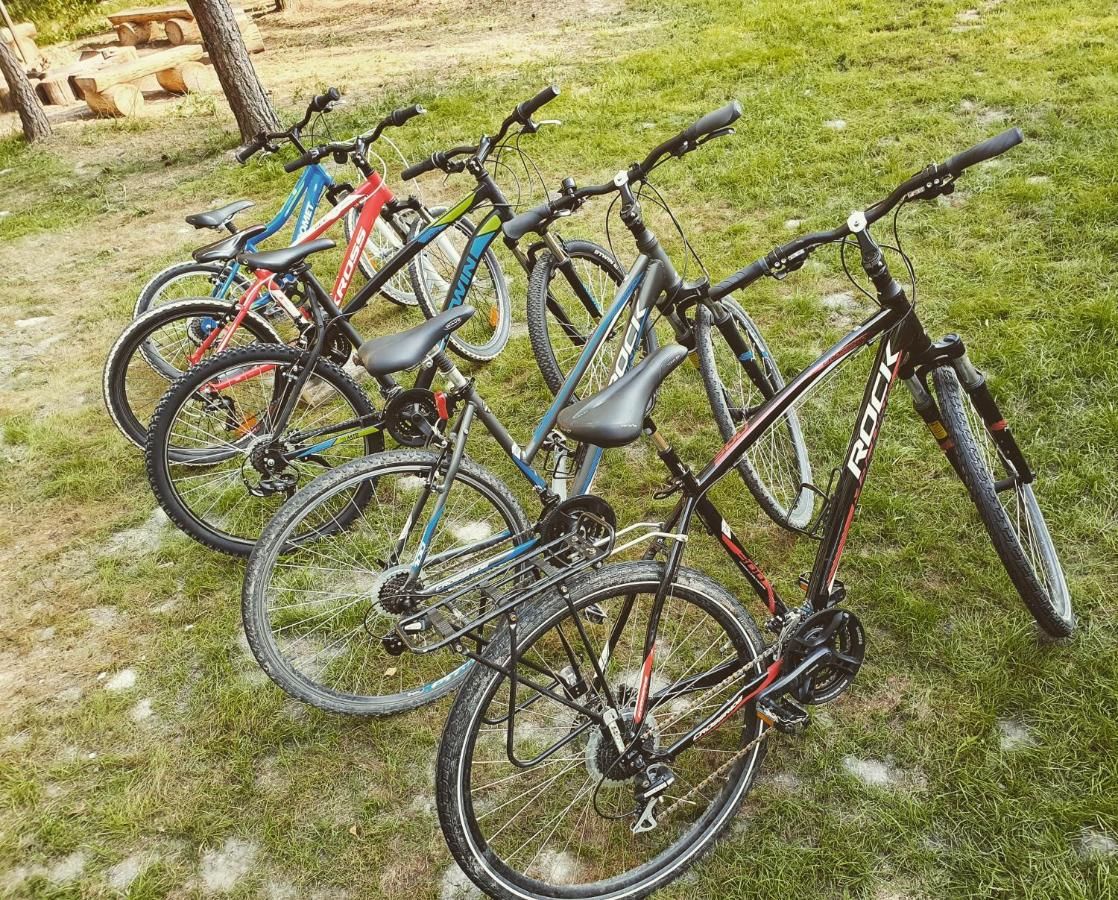 Шале Bajka Domek na Roztoczu Bondyrz-9