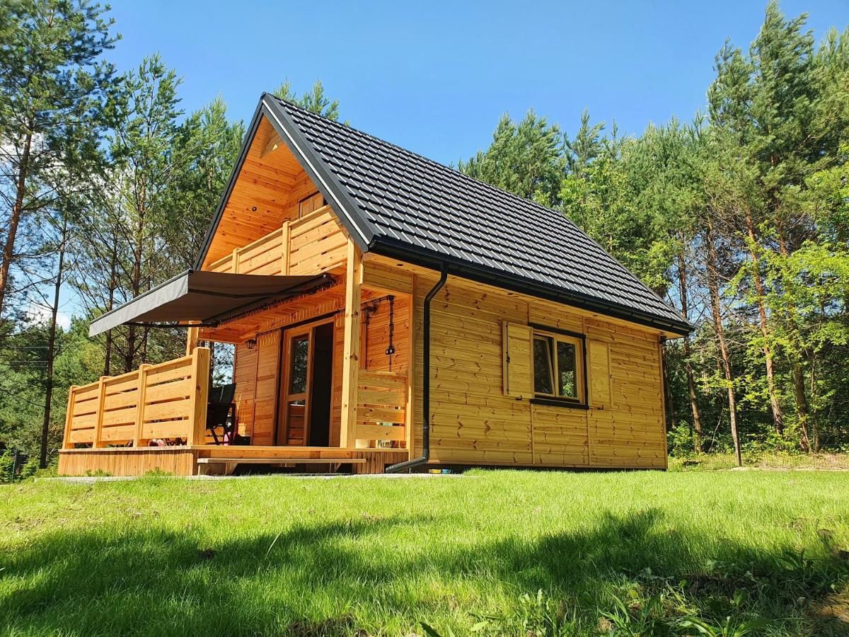 Шале Bajka Domek na Roztoczu Bondyrz-10